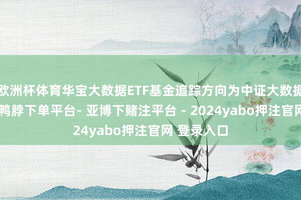 欧洲杯体育华宝大数据ETF基金追踪方向为中证大数据产业指数-鸭脖下单平台- 亚博下赌注平台 - 2024yabo押注官网 登录入口