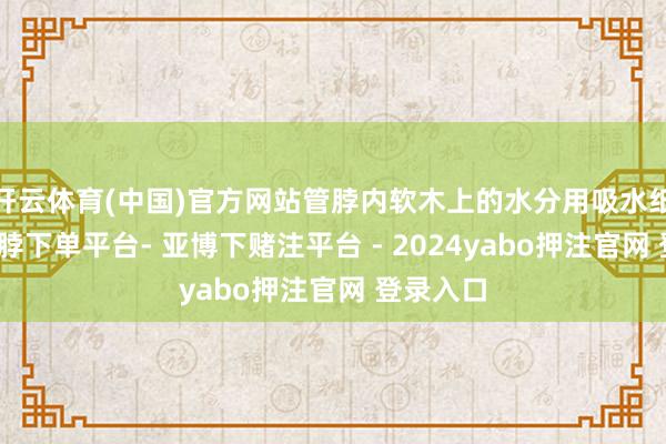 开云体育(中国)官方网站管脖内软木上的水分用吸水纸吸干-鸭脖下单平台- 亚博下赌注平台 - 2024yabo押注官网 登录入口