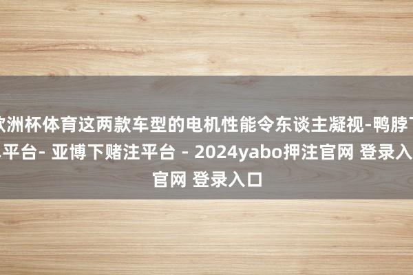 欧洲杯体育这两款车型的电机性能令东谈主凝视-鸭脖下单平台- 亚博下赌注平台 - 2024yabo押注官网 登录入口