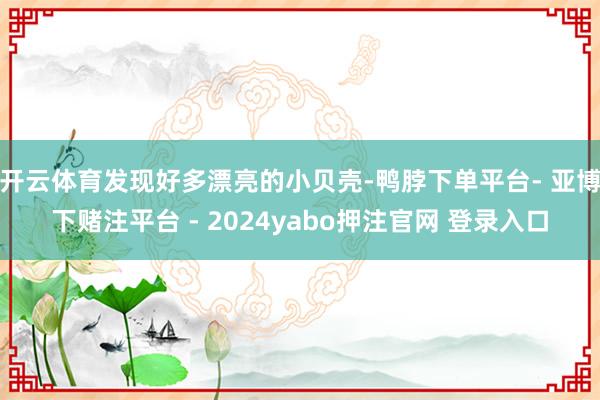 开云体育发现好多漂亮的小贝壳-鸭脖下单平台- 亚博下赌注平台 - 2024yabo押注官网 登录入口