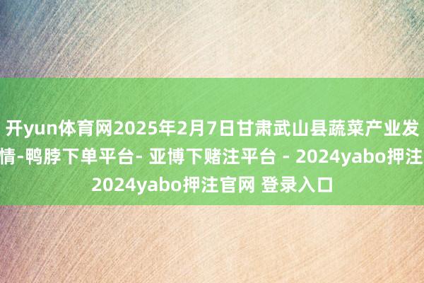 开yun体育网2025年2月7日甘肃武山县蔬菜产业发展中心价钱行情-鸭脖下单平台- 亚博下赌注平台 - 2024yabo押注官网 登录入口