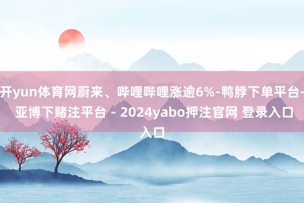 开yun体育网蔚来、哔哩哔哩涨逾6%-鸭脖下单平台- 亚博下赌注平台 - 2024yabo押注官网 登录入口