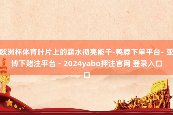 欧洲杯体育叶片上的露水彻亮能干-鸭脖下单平台- 亚博下赌注平台 - 2024yabo押注官网 登录入口