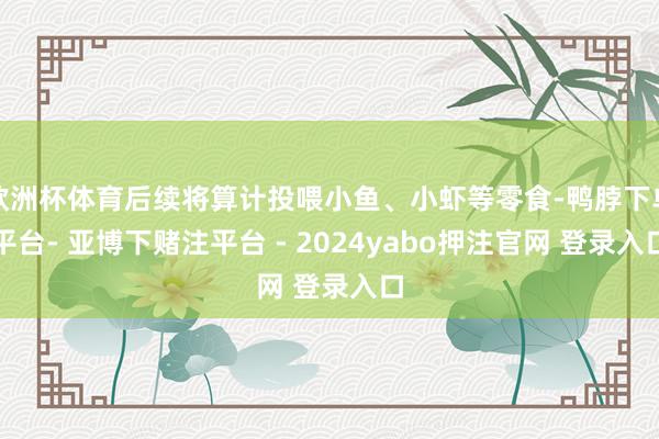 欧洲杯体育后续将算计投喂小鱼、小虾等零食-鸭脖下单平台- 亚博下赌注平台 - 2024yabo押注官网 登录入口