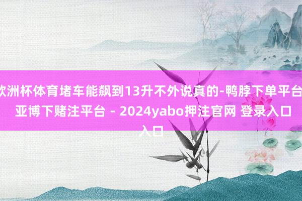 欧洲杯体育堵车能飙到13升不外说真的-鸭脖下单平台- 亚博下赌注平台 - 2024yabo押注官网 登录入口