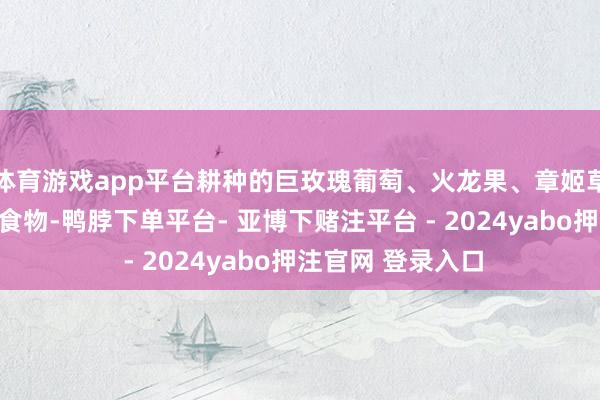 体育游戏app平台耕种的巨玫瑰葡萄、火龙果、章姬草莓被认定为绿色食物-鸭脖下单平台- 亚博下赌注平台 - 2024yabo押注官网 登录入口