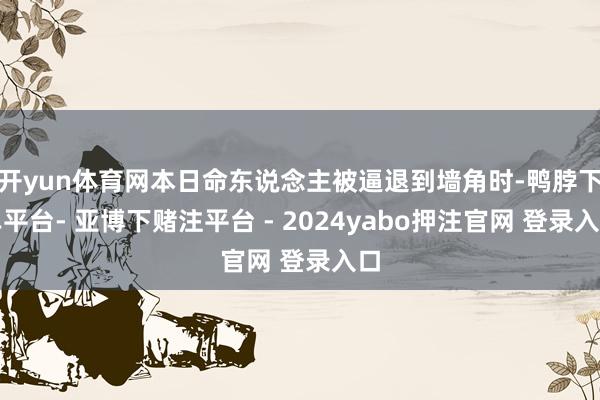 开yun体育网本日命东说念主被逼退到墙角时-鸭脖下单平台- 亚博下赌注平台 - 2024yabo押注官网 登录入口