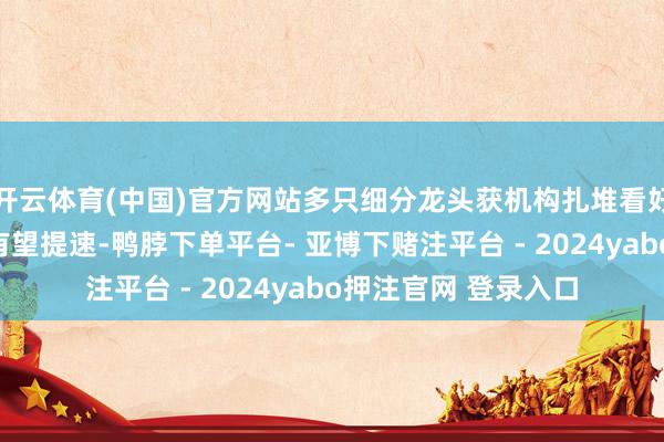 开云体育(中国)官方网站多只细分龙头获机构扎堆看好数据基础时局诞生有望提速-鸭脖下单平台- 亚博下赌注平台 - 2024yabo押注官网 登录入口