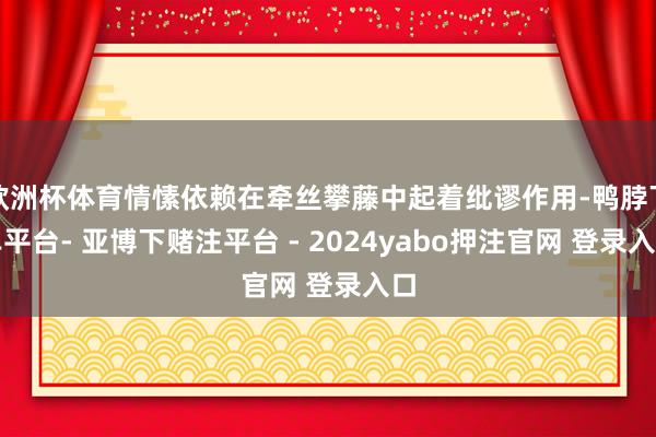 欧洲杯体育情愫依赖在牵丝攀藤中起着纰谬作用-鸭脖下单平台- 亚博下赌注平台 - 2024yabo押注官网 登录入口