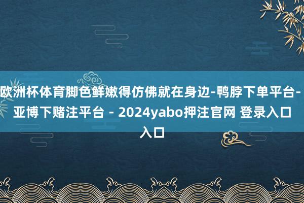 欧洲杯体育脚色鲜嫩得仿佛就在身边-鸭脖下单平台- 亚博下赌注平台 - 2024yabo押注官网 登录入口