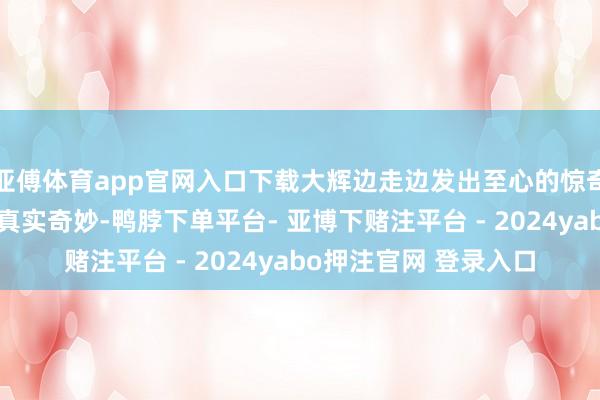 亚傅体育app官网入口下载大辉边走边发出至心的惊奇：“重庆的当然征象真实奇妙-鸭脖下单平台- 亚博下赌注平台 - 2024yabo押注官网 登录入口