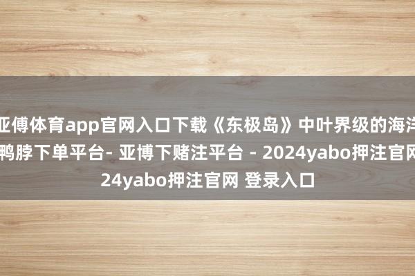 亚傅体育app官网入口下载《东极岛》中叶界级的海洋殊效时刻-鸭脖下单平台- 亚博下赌注平台 - 2024yabo押注官网 登录入口