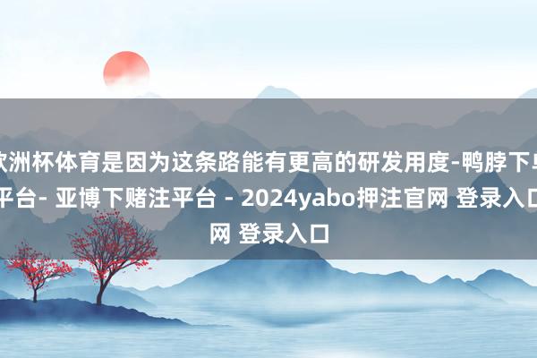 欧洲杯体育是因为这条路能有更高的研发用度-鸭脖下单平台- 亚博下赌注平台 - 2024yabo押注官网 登录入口