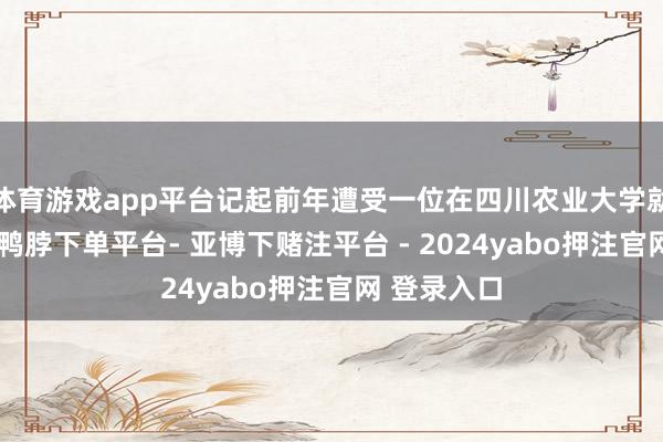 体育游戏app平台记起前年遭受一位在四川农业大学就读的学生-鸭脖下单平台- 亚博下赌注平台 - 2024yabo押注官网 登录入口