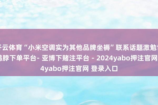 开云体育“小米空调实为其他品牌坐褥”联系话题激勉世俗关切-鸭脖下单平台- 亚博下赌注平台 - 2024yabo押注官网 登录入口