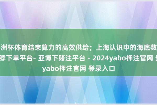 欧洲杯体育结束算力的高效供给；上海认识中的海底数据中心-鸭脖下单平台- 亚博下赌注平台 - 2024yabo押注官网 登录入口