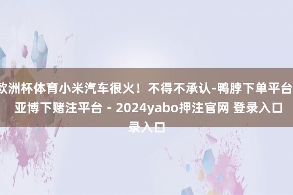 欧洲杯体育小米汽车很火！不得不承认-鸭脖下单平台- 亚博下赌注平台 - 2024yabo押注官网 登录入口