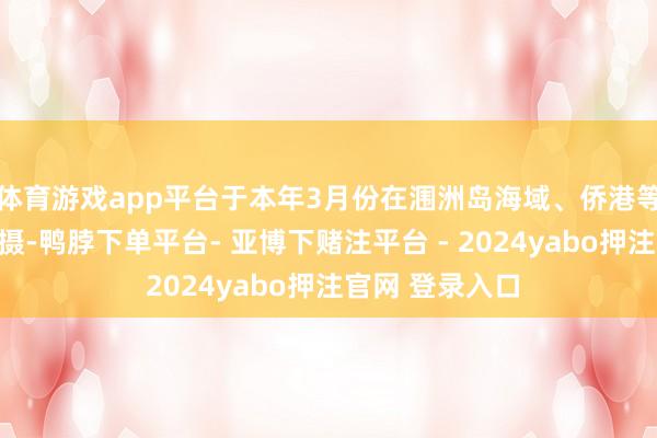 体育游戏app平台于本年3月份在涠洲岛海域、侨港等地完成取景拍摄-鸭脖下单平台- 亚博下赌注平台 - 2024yabo押注官网 登录入口