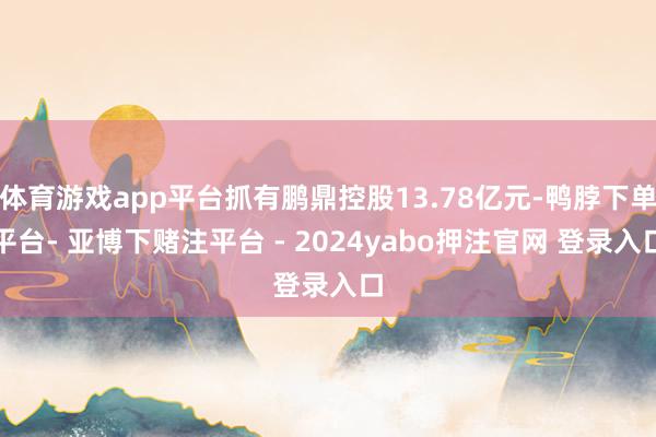 体育游戏app平台抓有鹏鼎控股13.78亿元-鸭脖下单平台- 亚博下赌注平台 - 2024yabo押注官网 登录入口