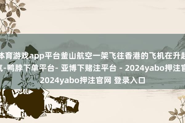 体育游戏app平台釜山航空一架飞往香港的飞机在升起前在机场活气-鸭脖下单平台- 亚博下赌注平台 - 2024yabo押注官网 登录入口