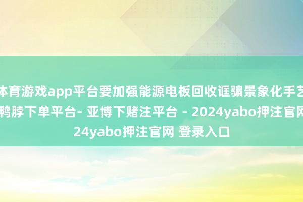 体育游戏app平台要加强能源电板回收诓骗景象化手艺组织缔造-鸭脖下单平台- 亚博下赌注平台 - 2024yabo押注官网 登录入口
