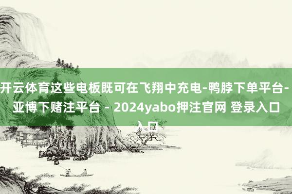 开云体育这些电板既可在飞翔中充电-鸭脖下单平台- 亚博下赌注平台 - 2024yabo押注官网 登录入口