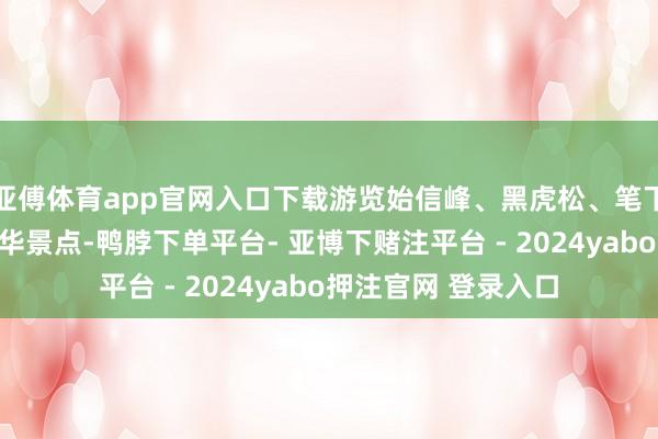 亚傅体育app官网入口下载游览始信峰、黑虎松、笔下生辉等北海景区精华景点-鸭脖下单平台- 亚博下赌注平台 - 2024yabo押注官网 登录入口