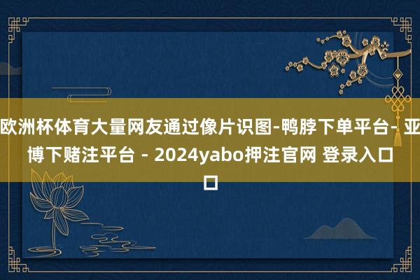欧洲杯体育大量网友通过像片识图-鸭脖下单平台- 亚博下赌注平台 - 2024yabo押注官网 登录入口