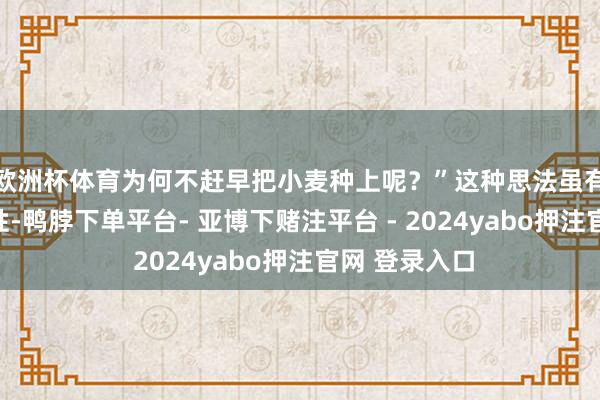 欧洲杯体育为何不赶早把小麦种上呢？”这种思法虽有一定的合感性-鸭脖下单平台- 亚博下赌注平台 - 2024yabo押注官网 登录入口