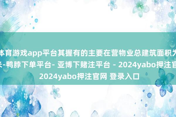 体育游戏app平台其握有的主要在营物业总建筑面积为341万日常米-鸭脖下单平台- 亚博下赌注平台 - 2024yabo押注官网 登录入口