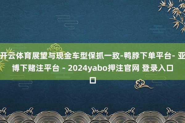 开云体育展望与现金车型保抓一致-鸭脖下单平台- 亚博下赌注平台 - 2024yabo押注官网 登录入口
