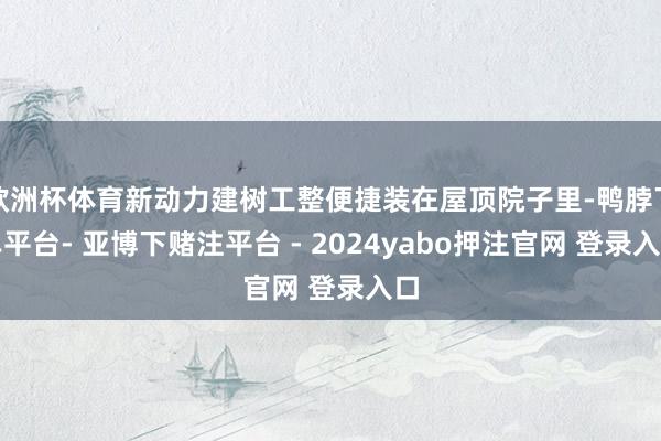 欧洲杯体育新动力建树工整便捷装在屋顶院子里-鸭脖下单平台- 亚博下赌注平台 - 2024yabo押注官网 登录入口